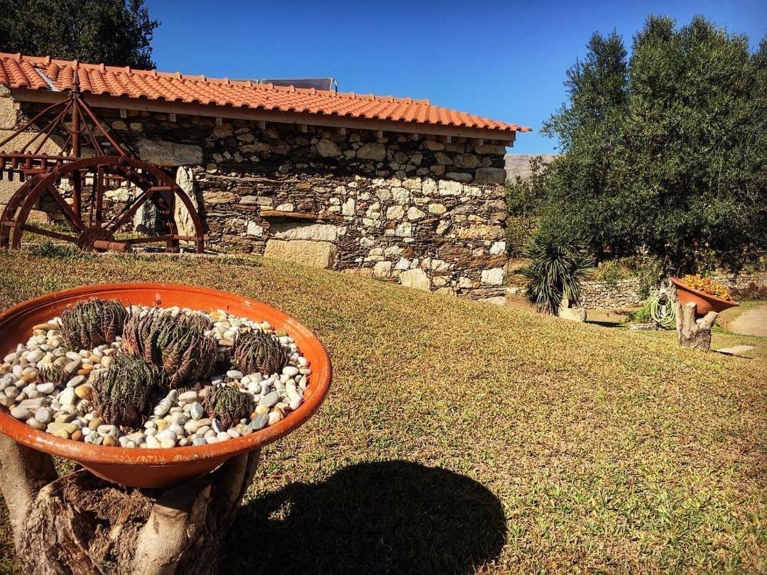 Quinta Do Fortunato Viana do Castelo Eksteriør billede